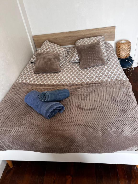 Katil atau katil-katil dalam bilik di Joli logement r&eacute;nov&eacute; proche centre-ville