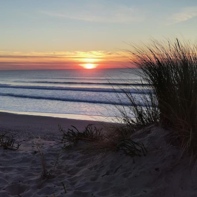 - un coucher de soleil sur une plage de sable recouverte d'herbe dans l'établissement Maison des fleurs d'Ajoncs, à Naujac-sur-Mer