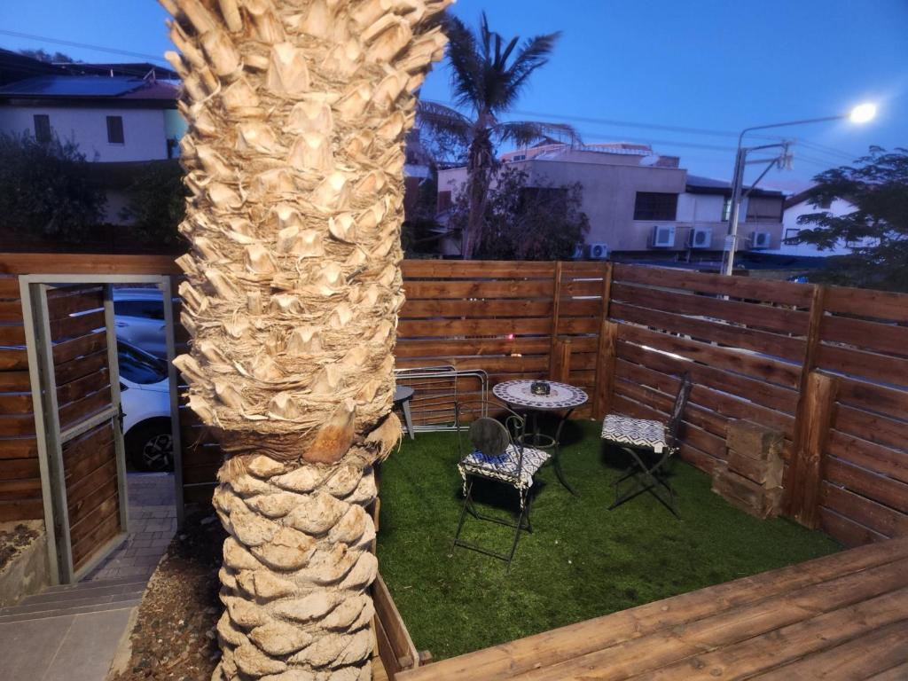 a palm tree on a patio with a table and chairs at Shalom's place in Eilat