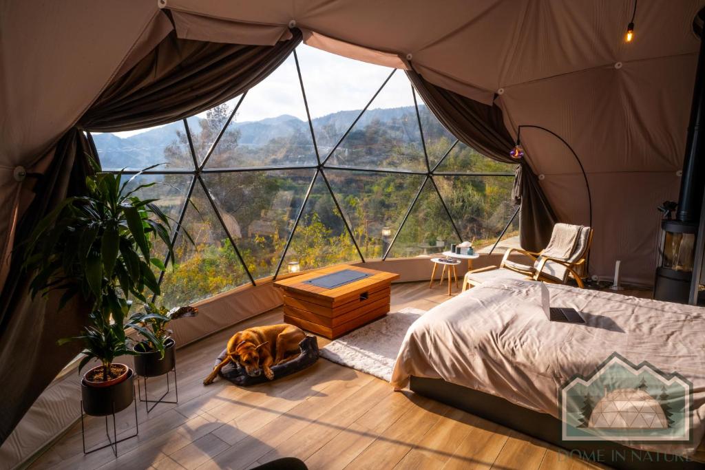 a bedroom with a bed and a large window at Dome in Nature in Larnaca