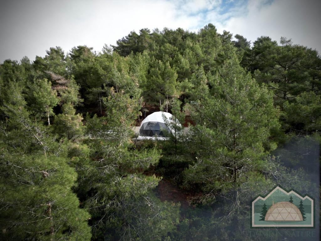 Příroda nedaleko luxury tent