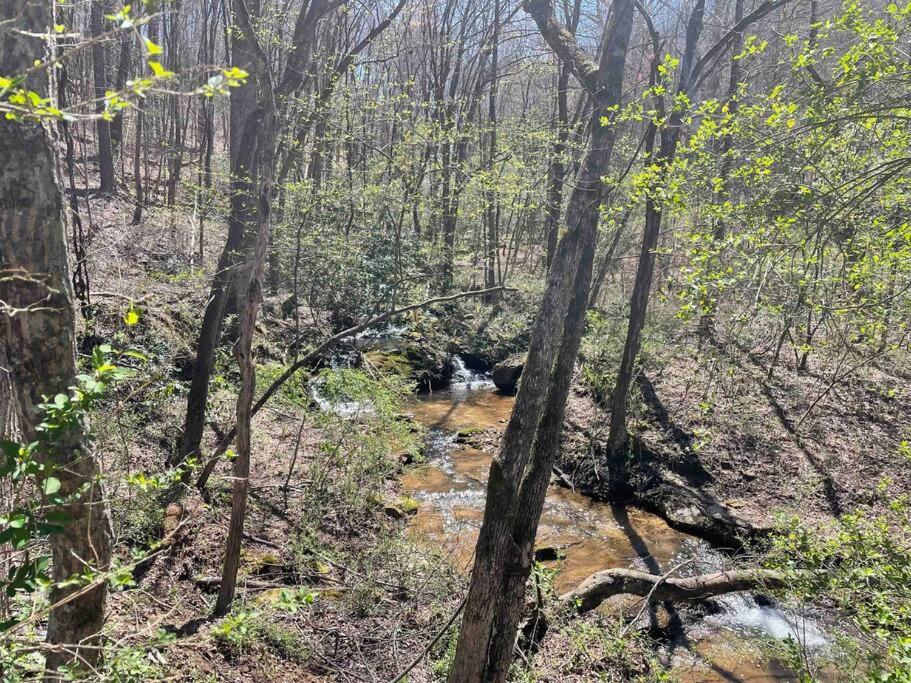 a creek in the middle of a forest with trees at Hilltop Haven w/Creek&Waterfall Dntwn McCaysville in McCaysville