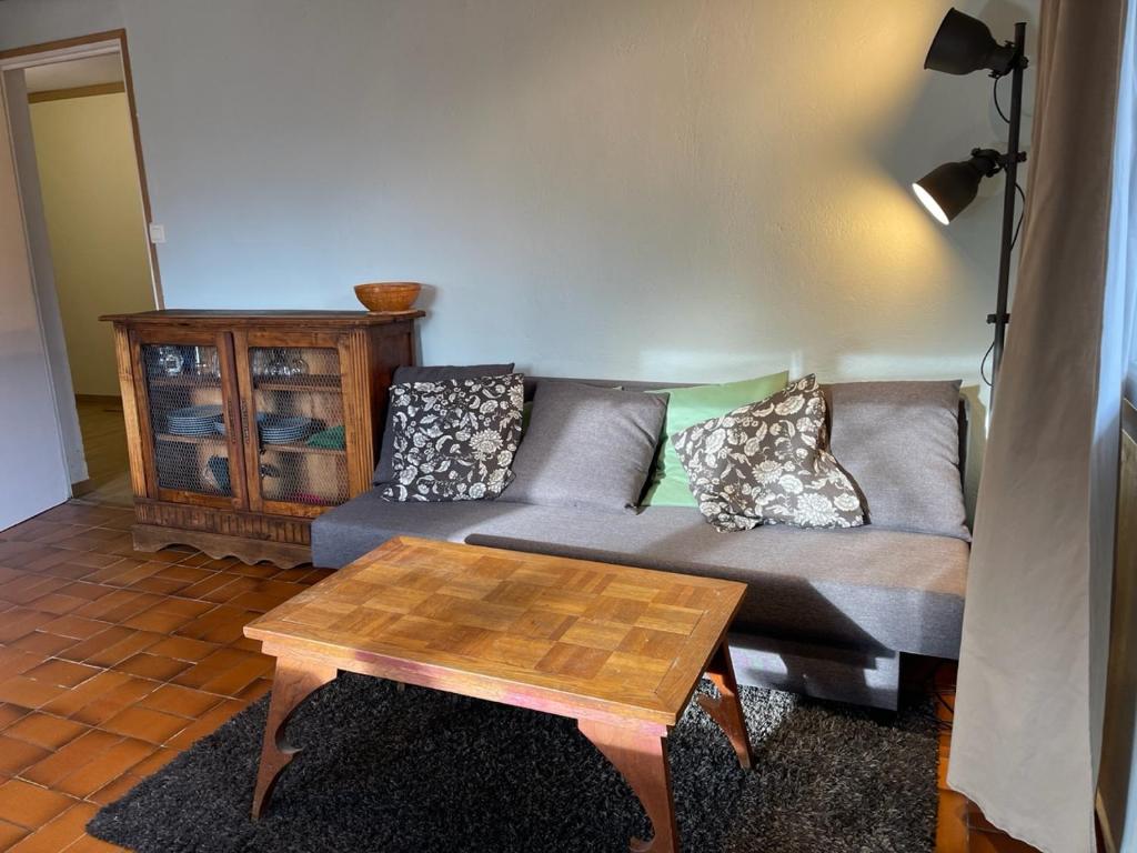a living room with a couch and a coffee table at Appartement à Uriage les Bains. in Vaulnaveys-le-Haut