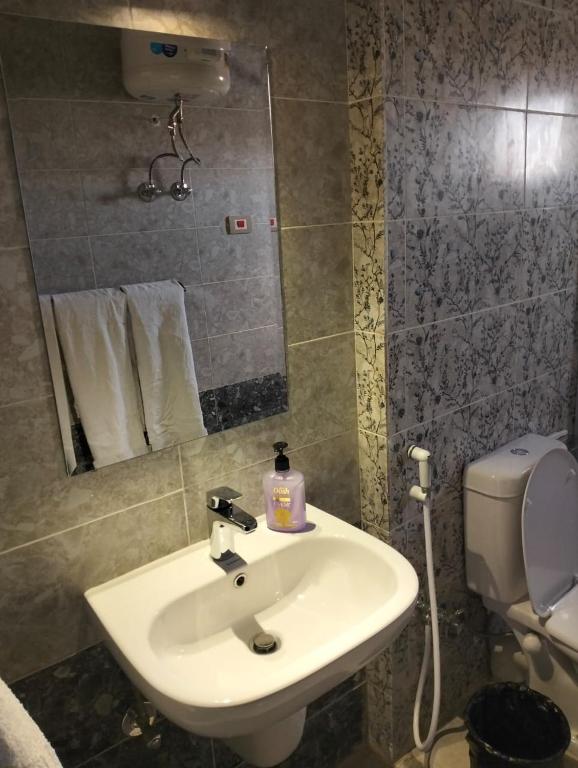 ASWAN NILE PALACE (swimming pool-rooftop-Nile view) - Deluxe King Room