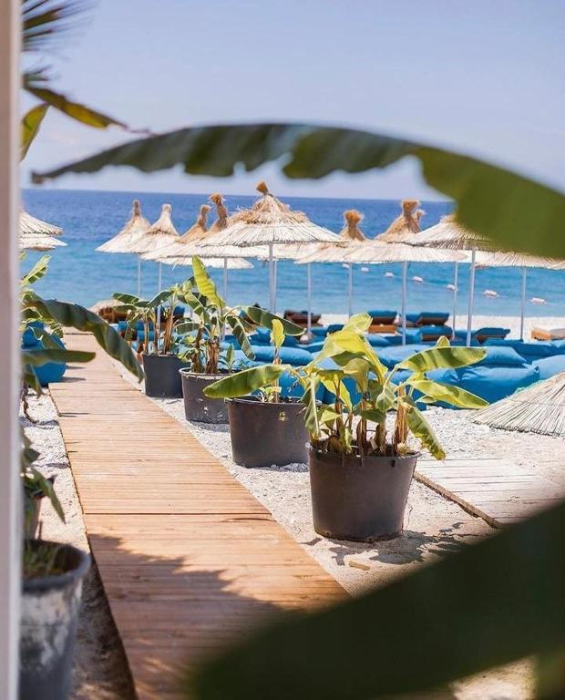 Don Mare