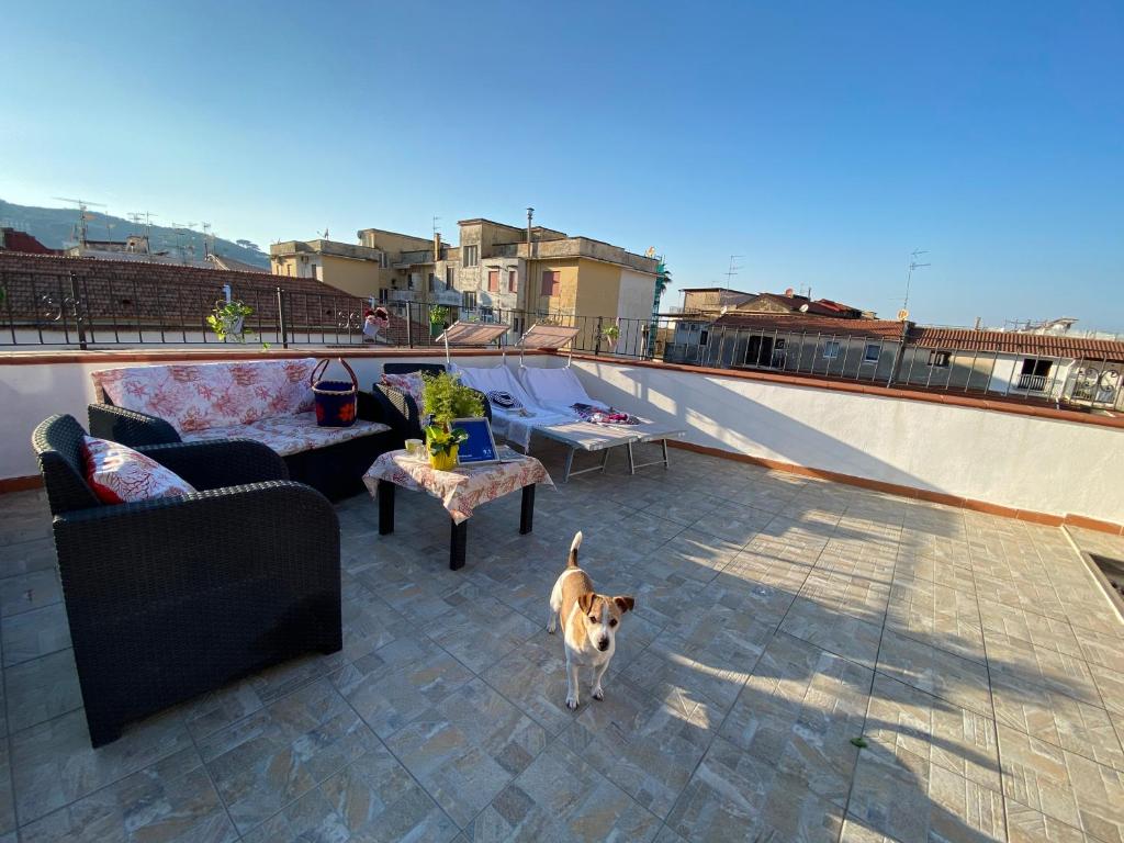 Domácí mazlíčci ubytovaní s hosty v ubytování B&B FRAI