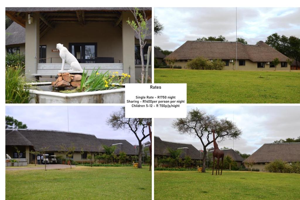 a collage of photos of a house with a dog statue at Cradle Moon Lakeside Game Lodge in Muldersdrift