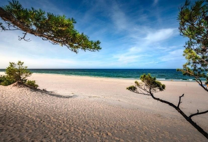 a beach with trees on the sand and the ocean w obiekcie GRECOS HOLIDAY w mieście Hel