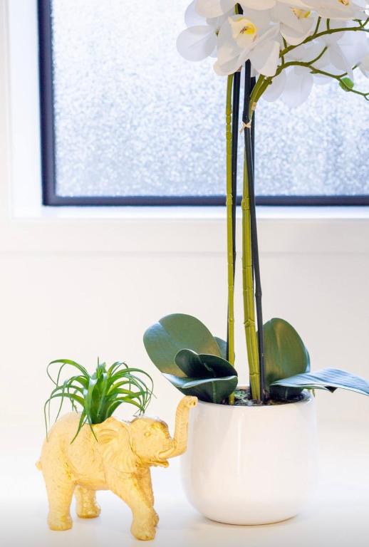 3Mins to Hospital & Hagley Park - Resim 35