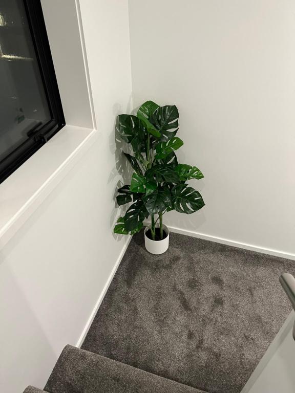 3Mins to Hospital & Hagley Park - Resim 34