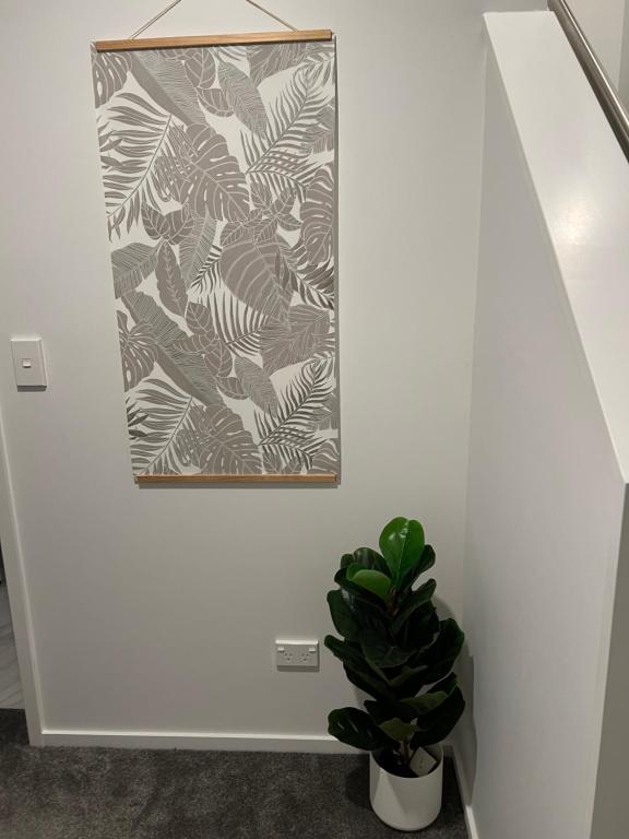 3Mins to Hospital & Hagley Park - Resim 36