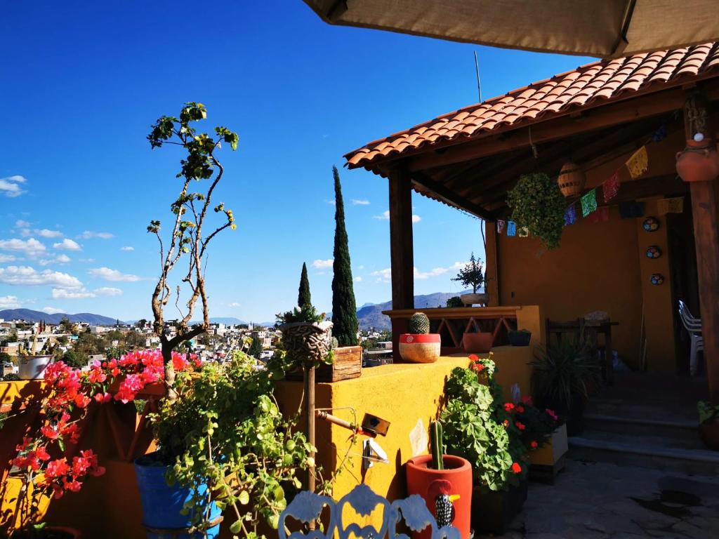a view of a house with flowers and plants at Casa Donaji in Oaxaca City