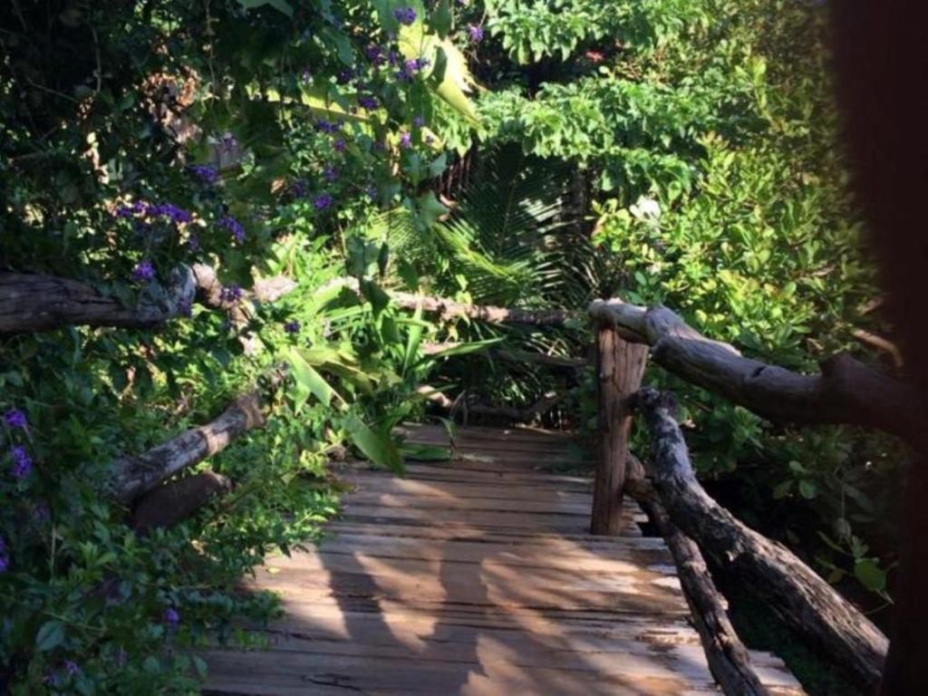 einen Holzweg durch einen Garten mit Blumen und Bäumen in der Unterkunft Tree Top Eco-Lodge in Banlung