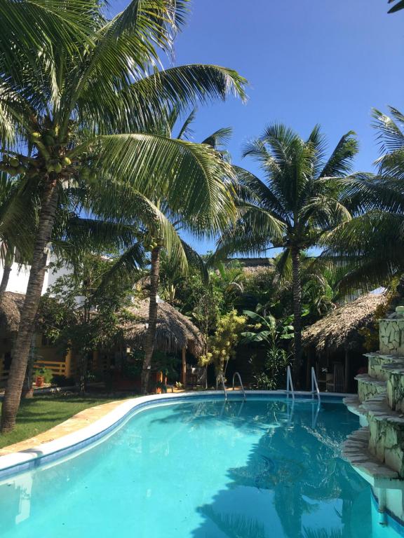 een zwembad met palmbomen op de achtergrond bij New Haven Guesthouse in Sosúa