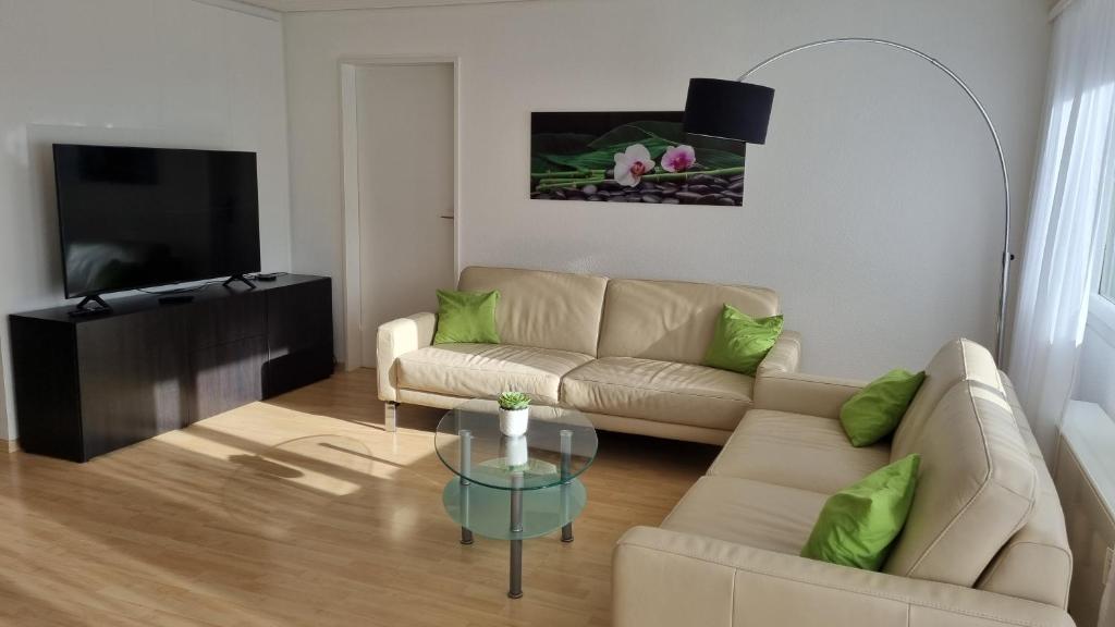 TV a/nebo společenská místnost v ubytování Apartment Cindy