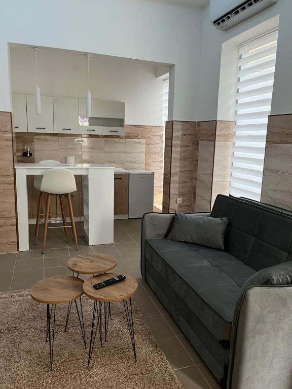 a living room with a couch and tables and a kitchen at Central Apartments 3 in Zaječar