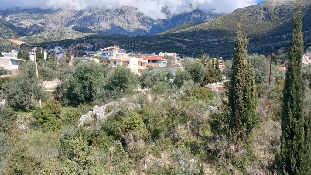 Paesaggio naturale nelle vicinanze dell'affittacamere