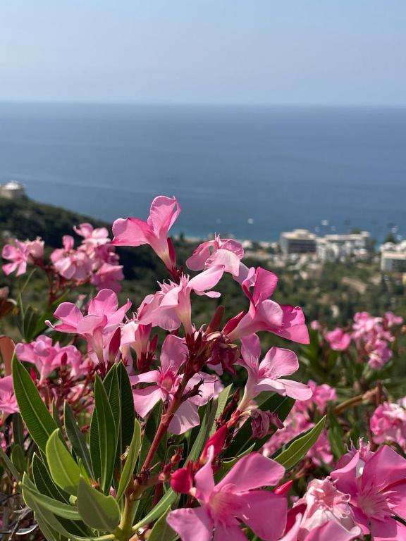 Paesaggio naturale nelle vicinanze dell'affittacamere