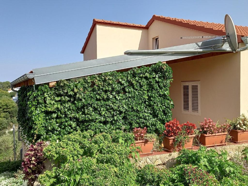 Vonkajšia záhrada v ubytovaní Apartments by the sea Sali, Dugi otok - 8117