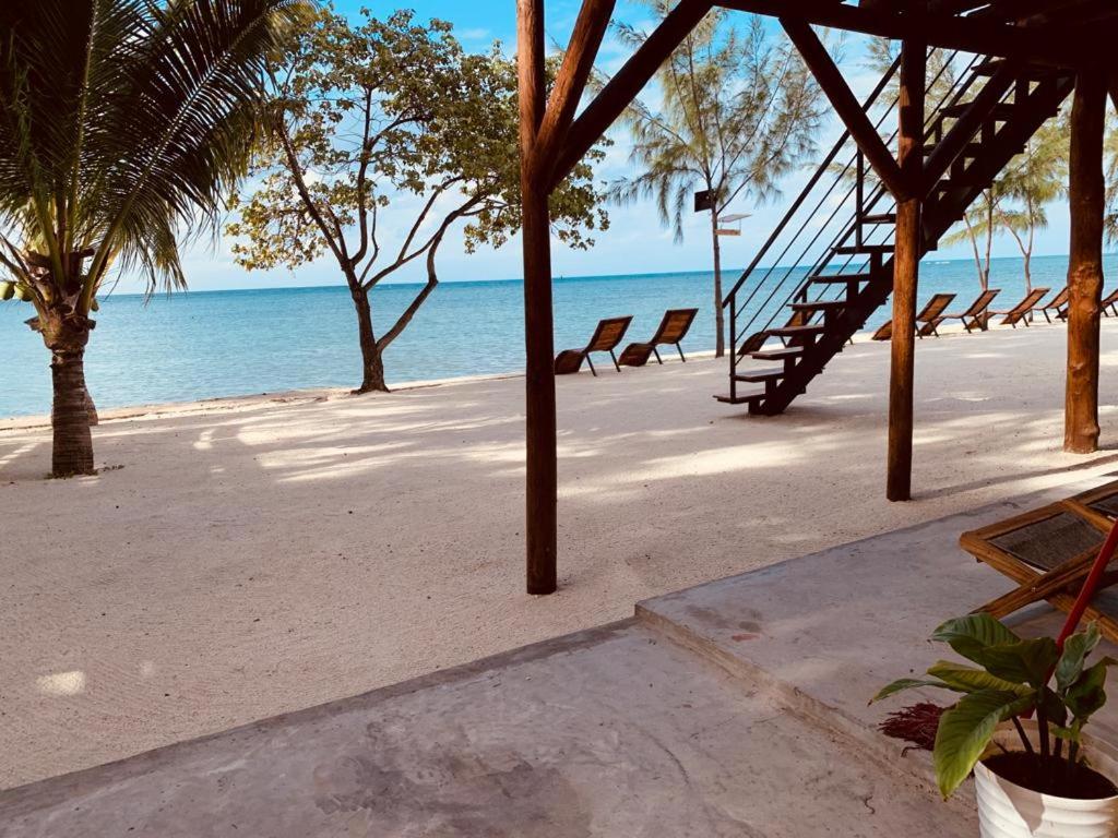 a beach with a bunch of chairs and the ocean at Bon Vivant Front de Mer - Ile Rodrigues in Rodrigues Island