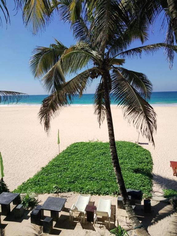 a palm tree and picnic tables on the beach at Sea Garden Beach Resort in Habaraduwa Central