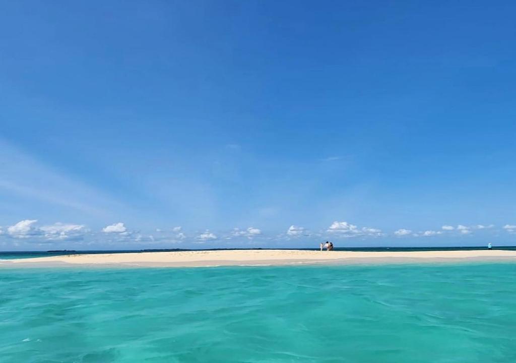 eine Insel im Ozean mit einem Strand im Hintergrund in der Unterkunft Beach hote in Tanga