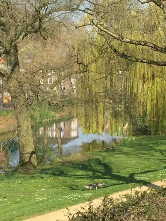 Hemels logeren LUXURY LOFT Zutphen - Deluxe Double Room With Balcony And Sea View
