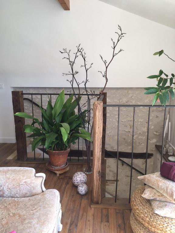 a living room with a couch and some plants at Maison d hôtes Les Chantours dans réserve naturelle 15 hectares in Saint-Antoine-Cumond