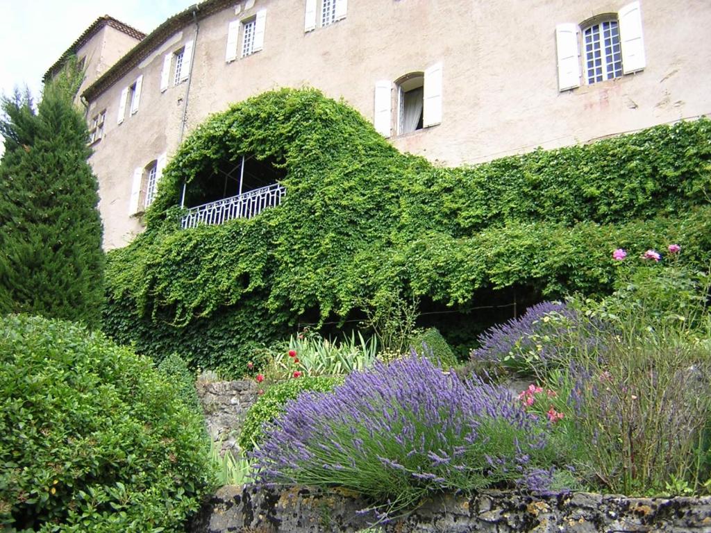Zahrada ubytování Château de Camon