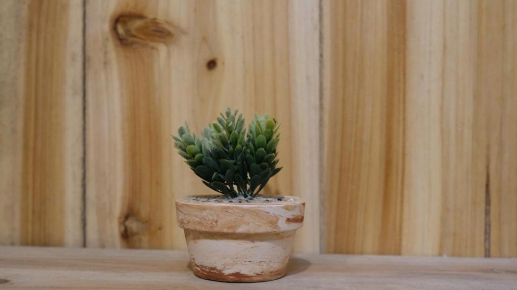 Sapa Jungle Homestay - 8