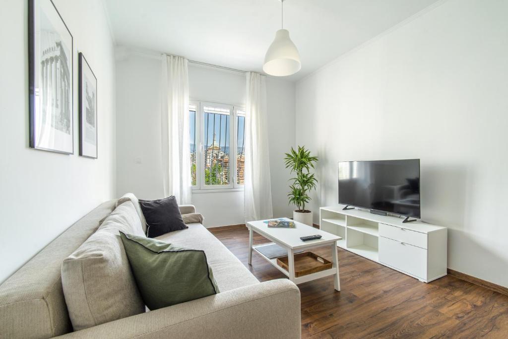 a living room with a couch and a flat screen tv at Superb flat in the historic centre of Athens in Athens