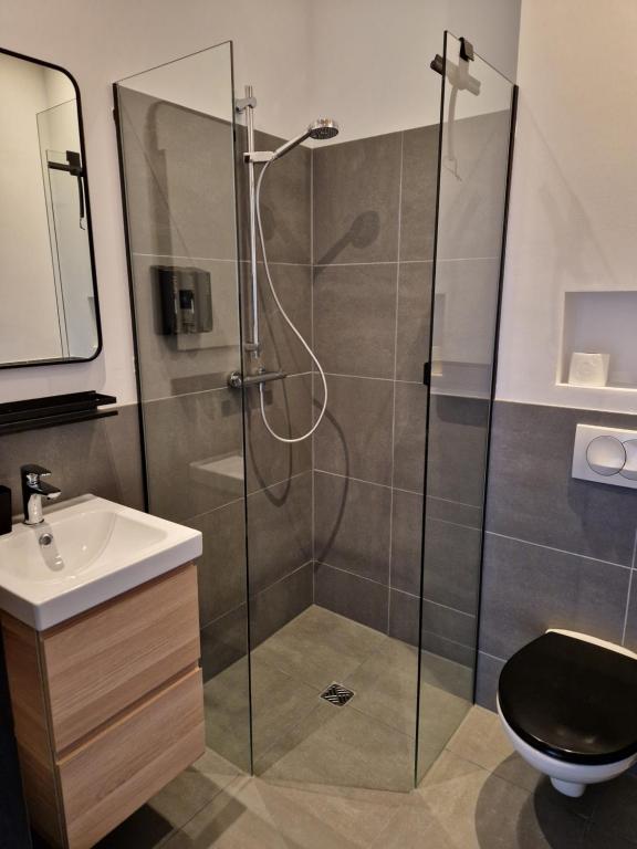 a bathroom with a shower and a sink at Stadslogement Het Keerpunt Dokkum in Dokkum
