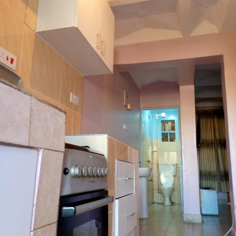 Thika的住宿－Verona Airbnb，带炉灶的厨房和带卫生间的浴室