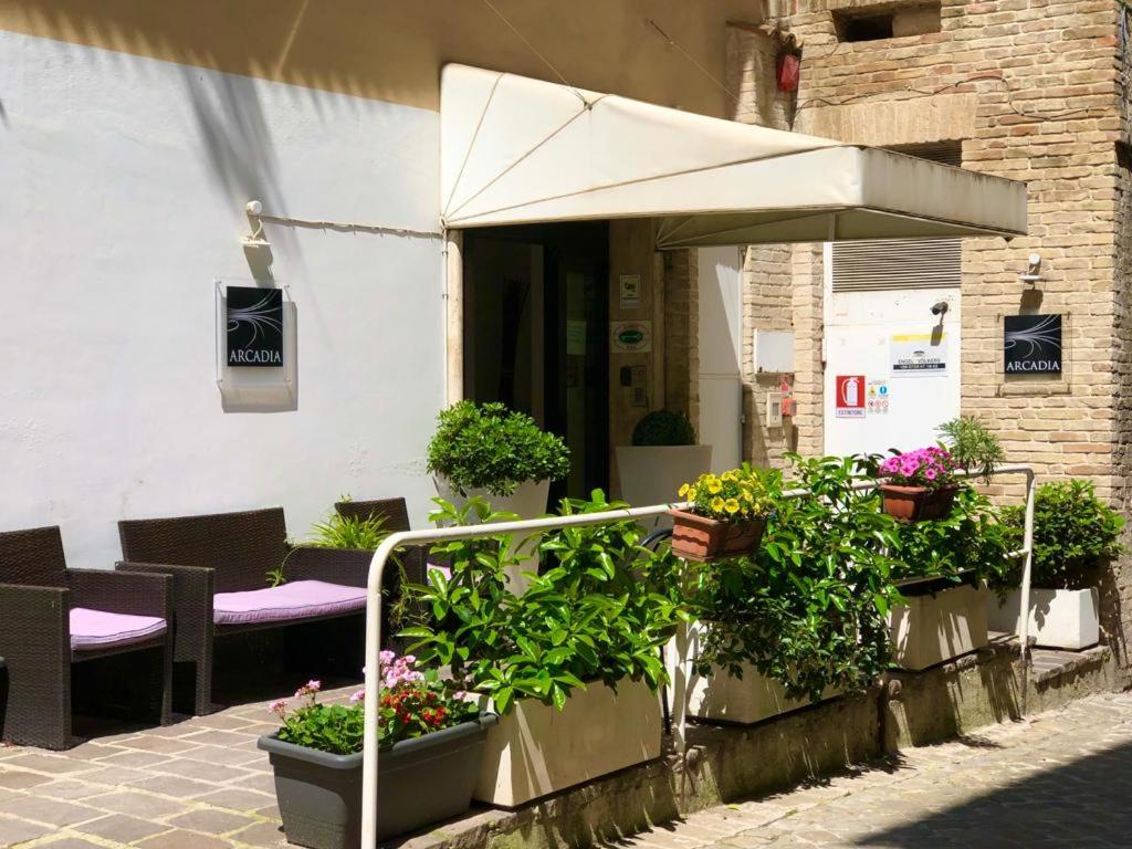 マチェラータにあるホテル アルカディアの鉢植えの植物と傘が備わるパティオ