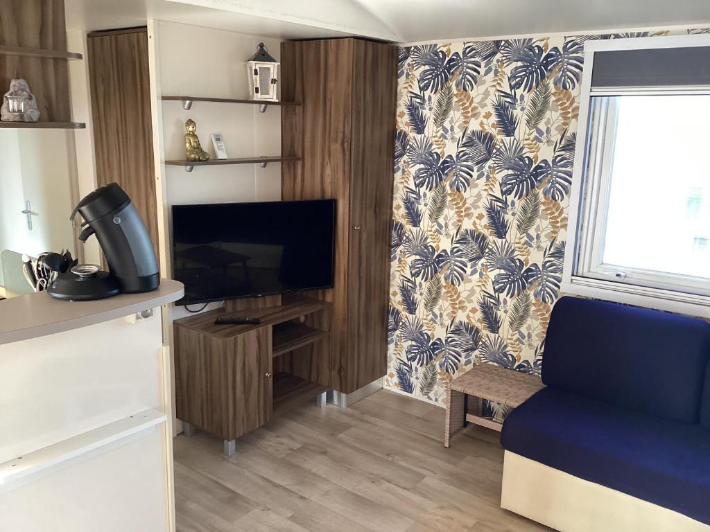 een woonkamer met een tv, een bank en een raam bij Mobilhome2frejus in Fréjus