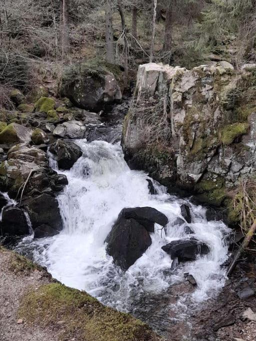 Příroda nedaleko apartmánu