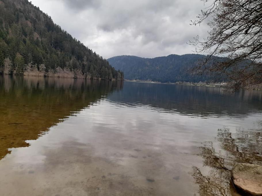 Příroda nedaleko apartmánu