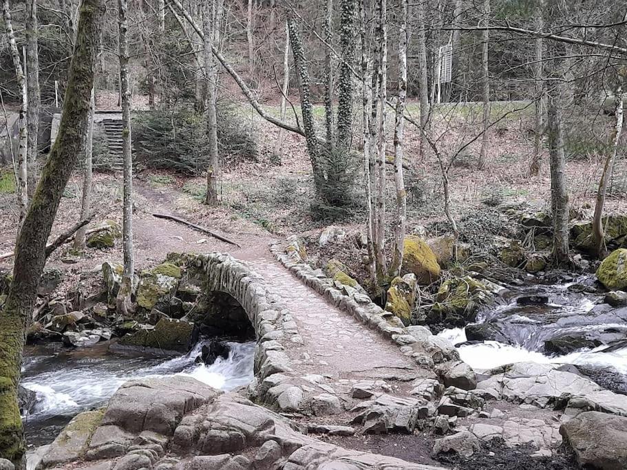 Příroda nedaleko apartmánu