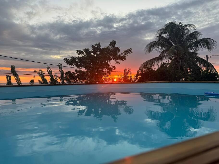 a sunset over a swimming pool with a palm tree at Appartement KELUTELO in Le Carbet