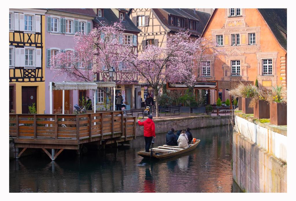 Maison avec terrasse Colmar Centre-Cottage garden terrace Center Old Town Colmar – photo 39