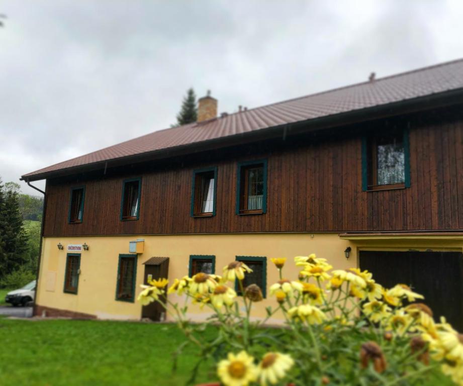 een huis met gele bloemen ervoor bij Chata Polka in Horní Vltavice