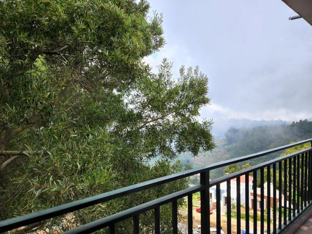 Cloudwalks Homestay - Salle Familiale Avec Balcon