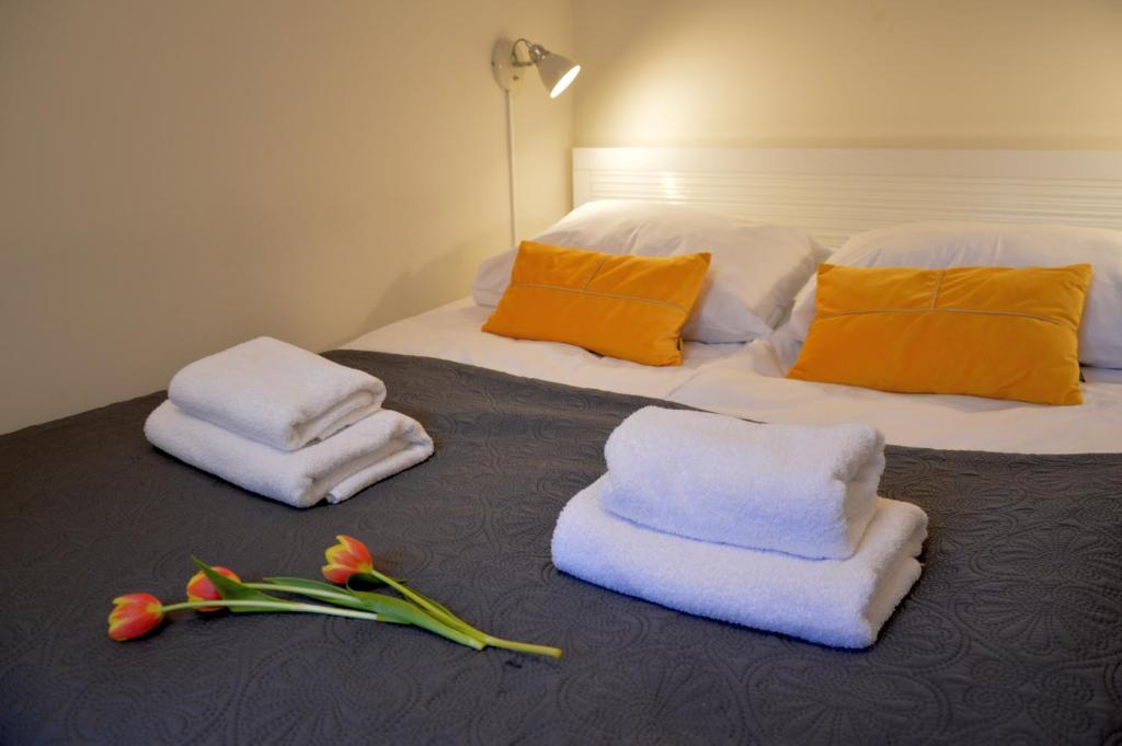 Central Cracow Apartments - Standard Apartment