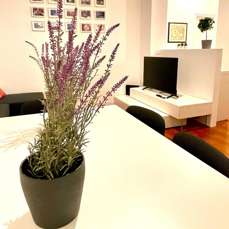 TV o dispositivi per l'intrattenimento presso Lazy Time Apartment