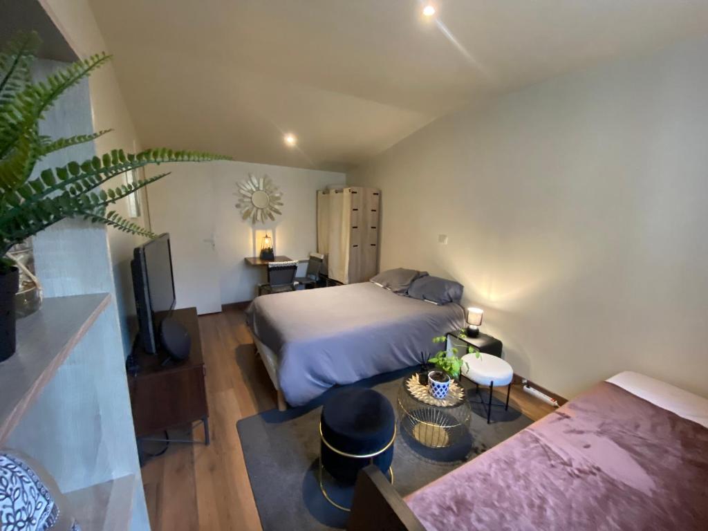 a bedroom with a bed and a table and a couch at Charmant Studio avec son jardin privé aux portes de Paris in Ivry-sur-Seine