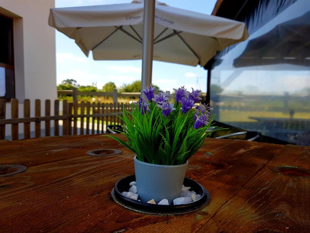 Balkon lub taras w obiekcie Albergue El Aleman
