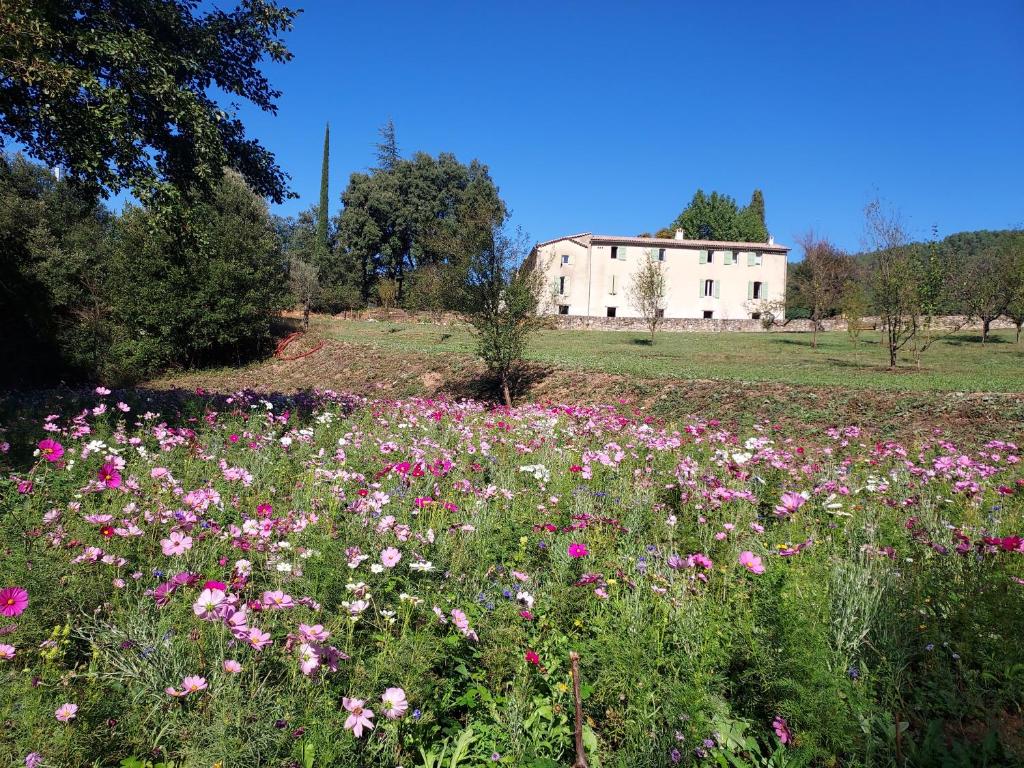 un campo di fiori con una casa sullo sfondo di Les Jardins de Falguière a Saint-Jean-du-Gard