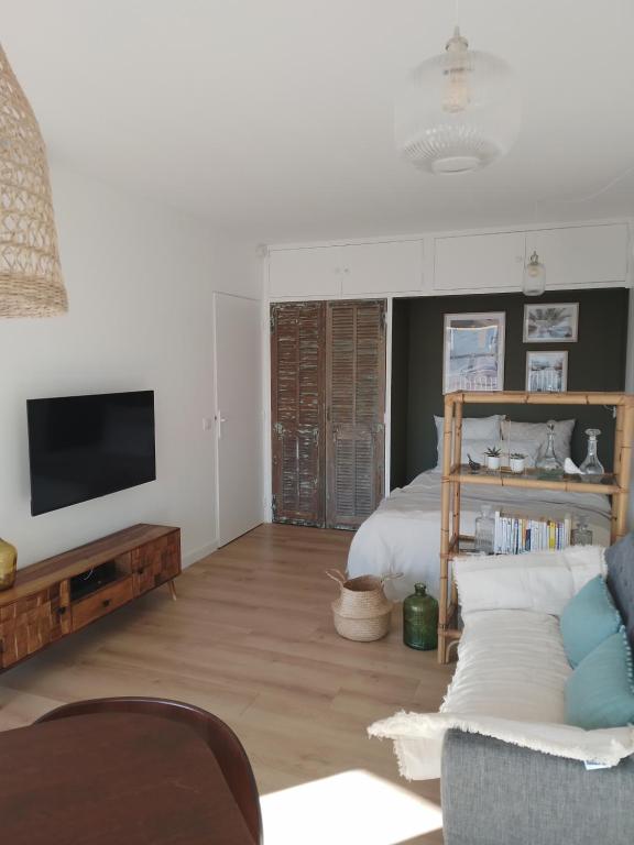 un salon avec un canapé et une télévision dans l'établissement Le studio 51, à Saint-Raphaël