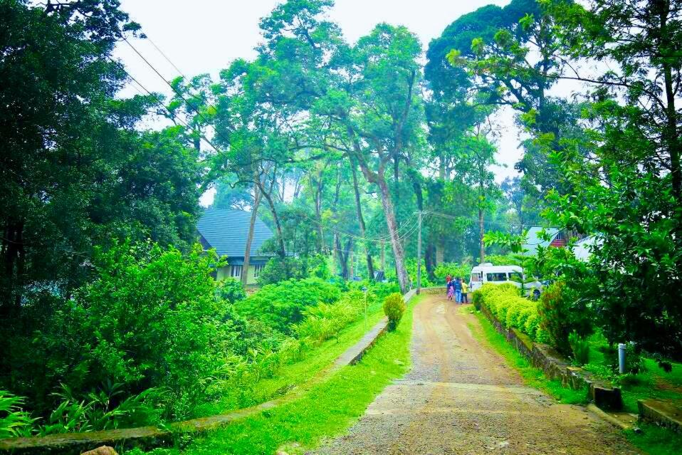 a dirt road with trees and a white van on it at Munnar Tea Estate Hotel and Resort in Munnar