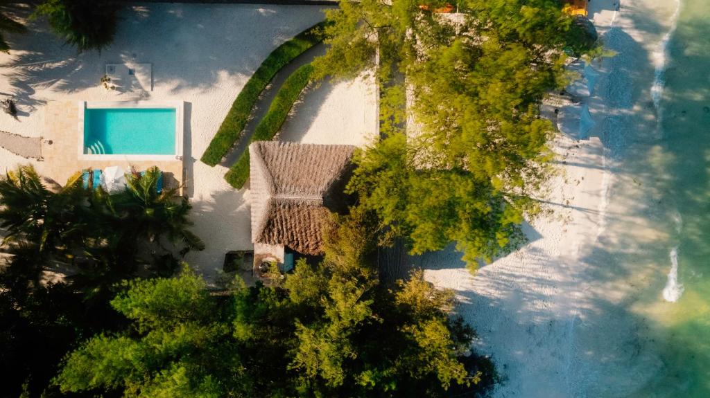 江比阿尼的住宿－Villa Passiflora Zanzibar，享有带游泳池的房屋的顶部景致